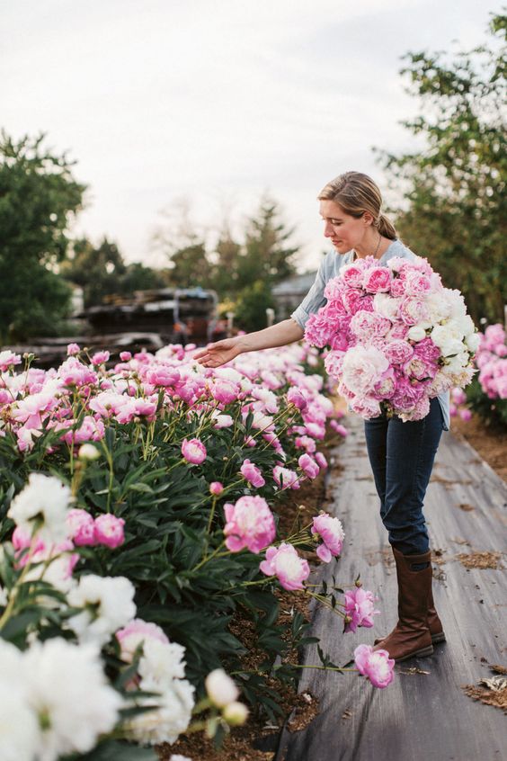 How to Grow an Amazing Flower Garden in 7 Step